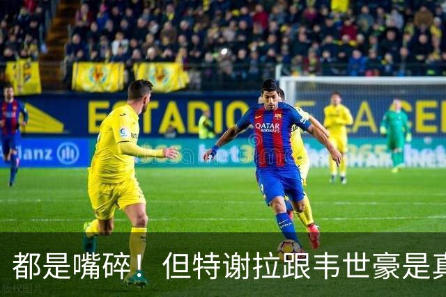 都是嘴碎！但特谢拉跟韦世豪是真不一样 申花10号还是非常有公众人物的觉悟